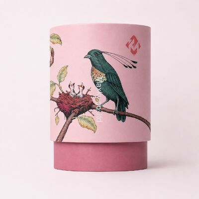 Biodegradable Paper Tube Tea Packaging Cylinder Food Cardboard Canister